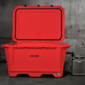 Grizzly 450 Watt Ozone System