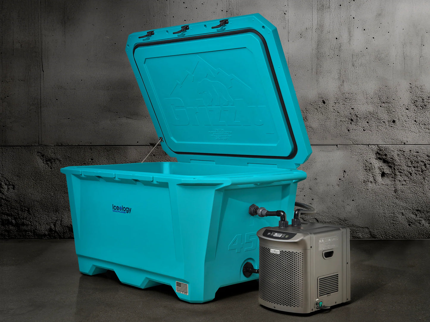 Grizzly 450 Watt Ozone System