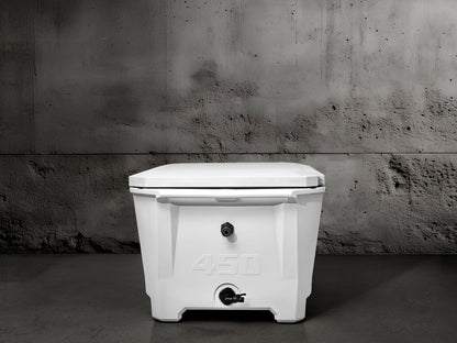 Grizzly 450 Watt Ozone System
