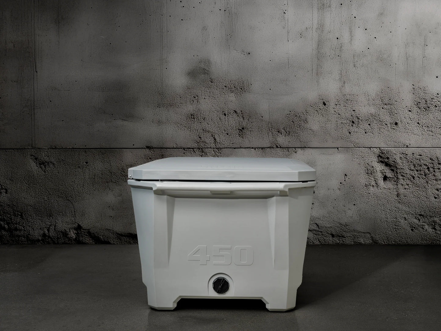Grizzly 450 Watt Ozone System