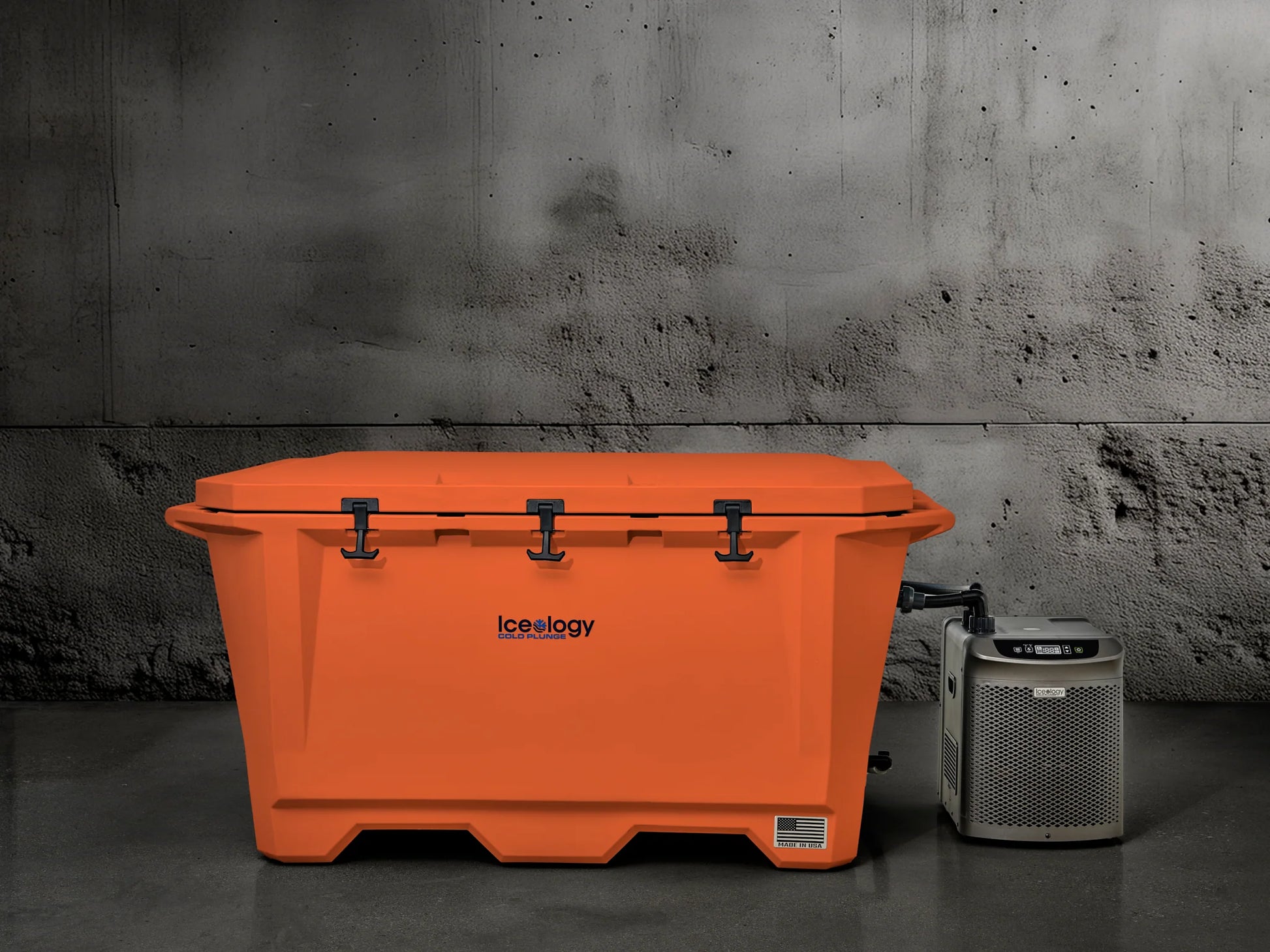 Grizzly 450 Watt Ozone System