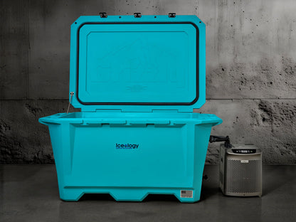 Grizzly 450 Watt Ozone System