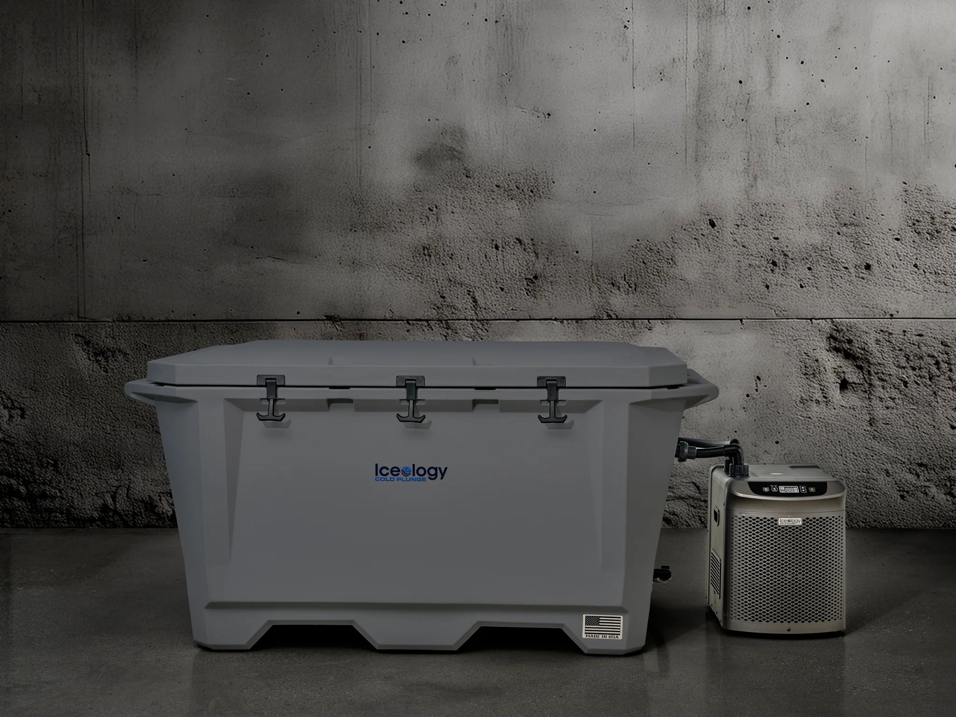 Grizzly 450 Watt Ozone System