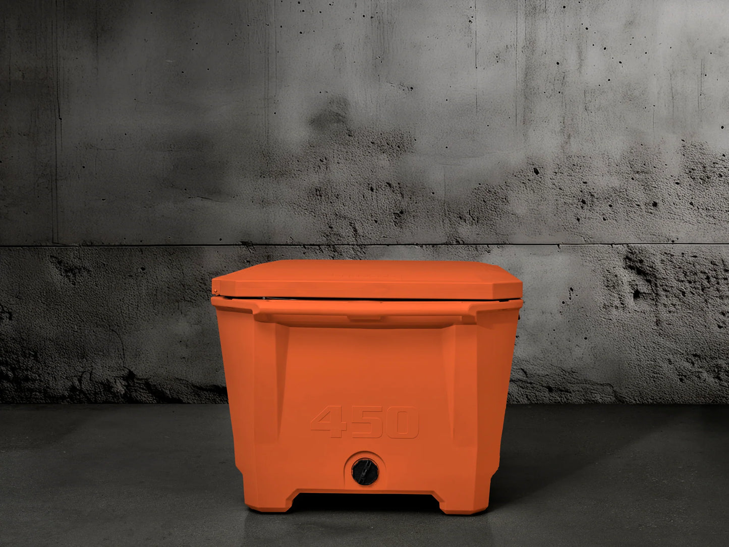Grizzly 450 Watt Ozone System