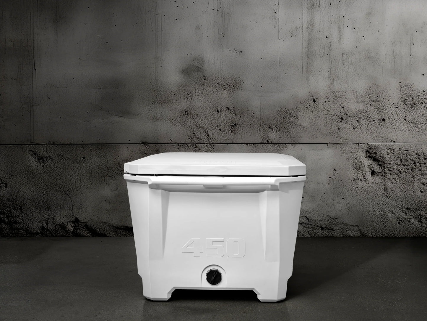 Grizzly 450 Watt Ozone System