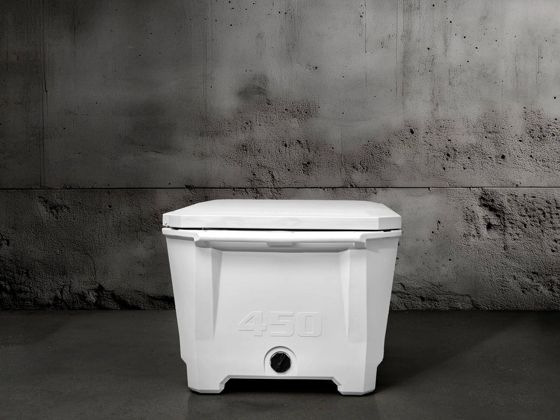 Grizzly 450 Watt Ozone System