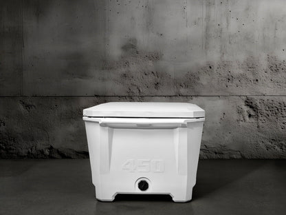 Grizzly 450 Watt Ozone System