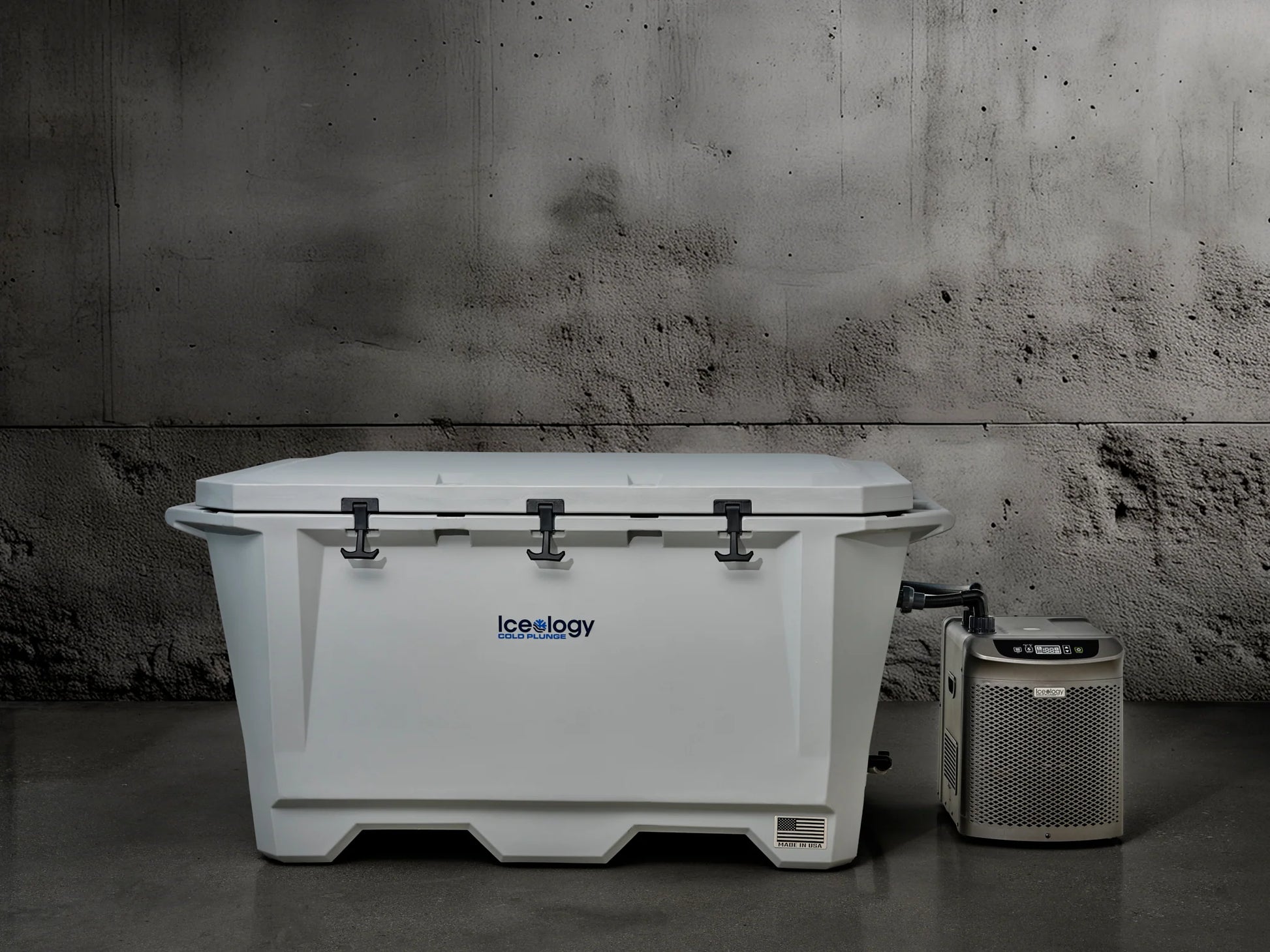 Grizzly 450 Watt Ozone System