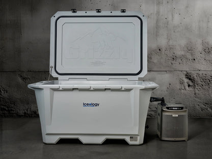 Grizzly 450 Watt Ozone System