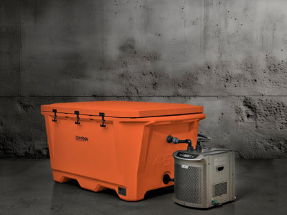 Grizzly 450 Watt Ozone System