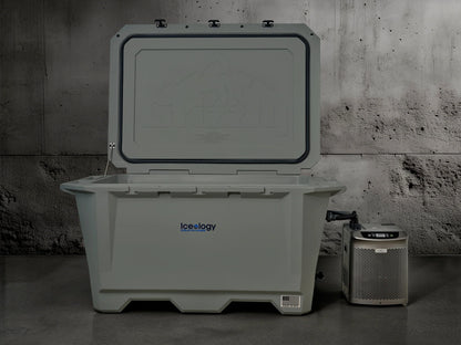 Grizzly 450 Watt Ozone System
