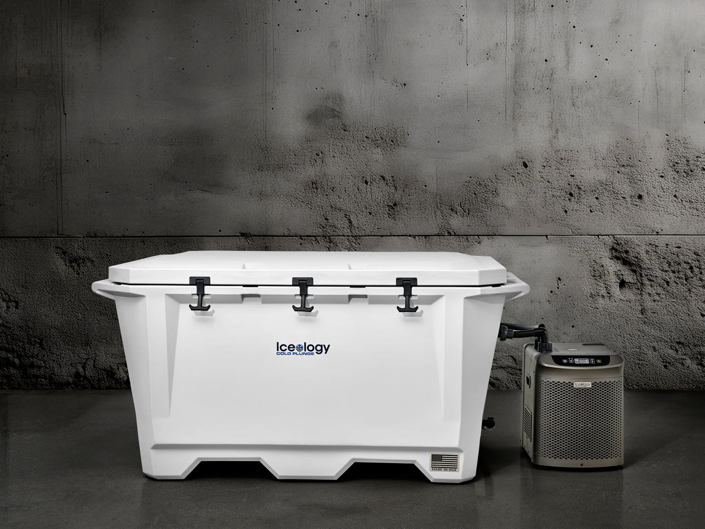 Grizzly 450 Watt Ozone System