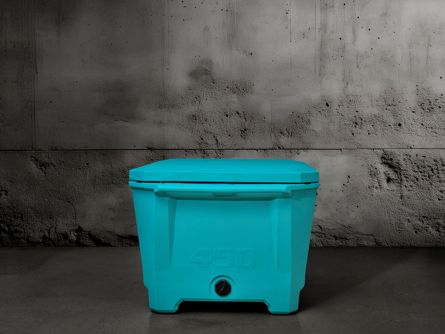 Grizzly 450 Watt Ozone System