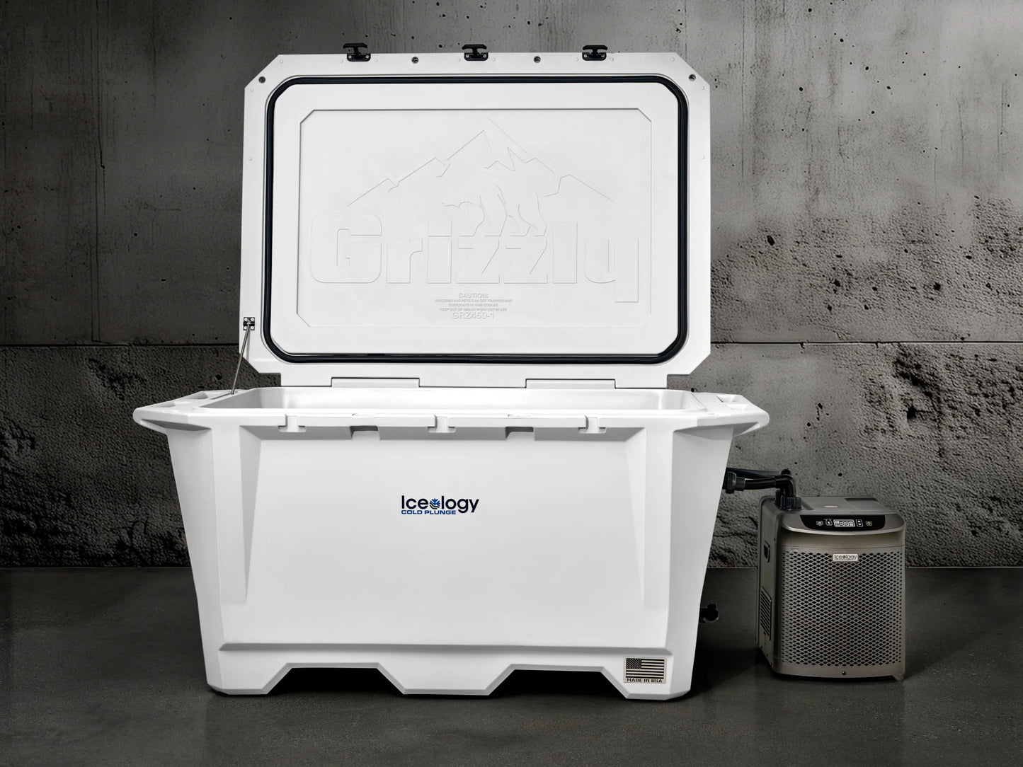 Grizzly 450 Watt Ozone System