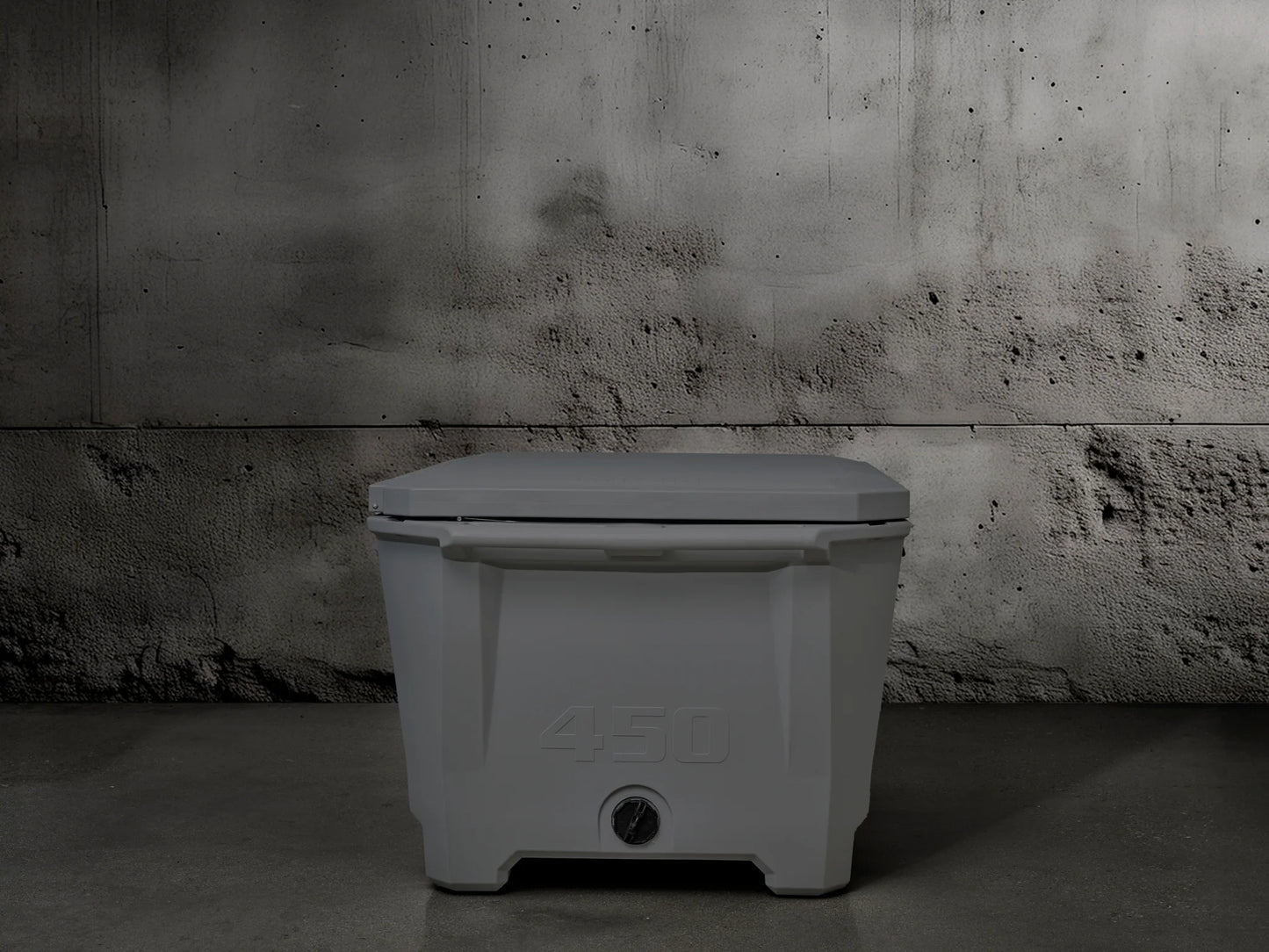Grizzly 450 Watt Ozone System