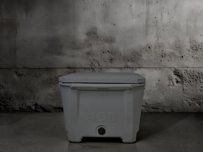 Grizzly 450 Watt Ozone System